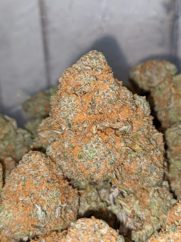 Purple Kush For Sale Online