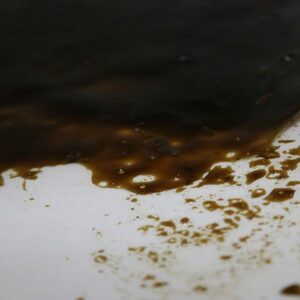Buy Mixed Indica Co2 Shatter