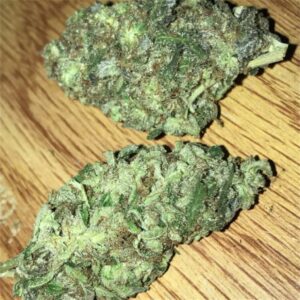 Girls Scout Cookies For Sale 