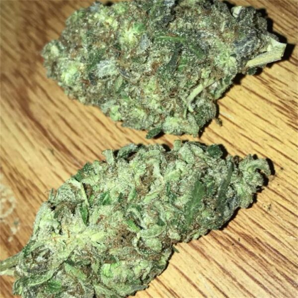 Girls Scout Cookies For Sale 